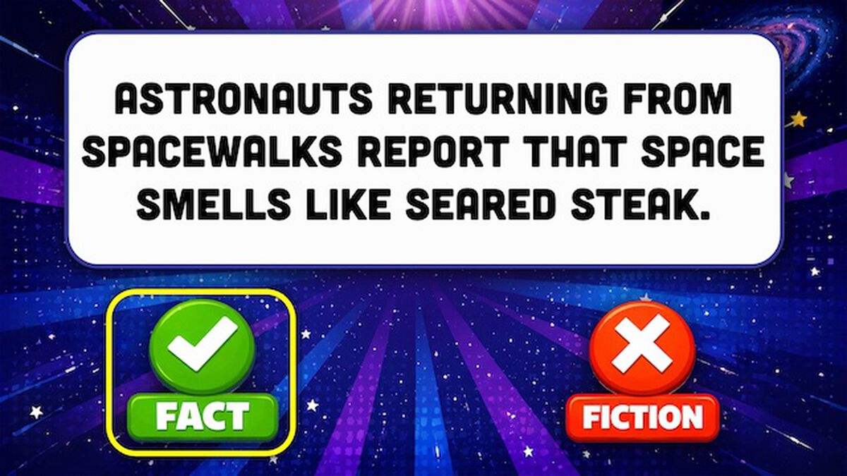 Space: Fact or Fiction? image number null